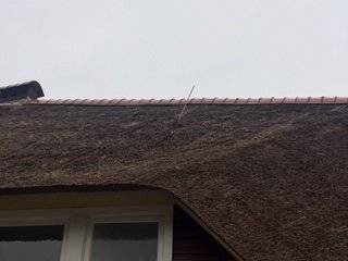 20-01-05-pijl-in-dak-groot